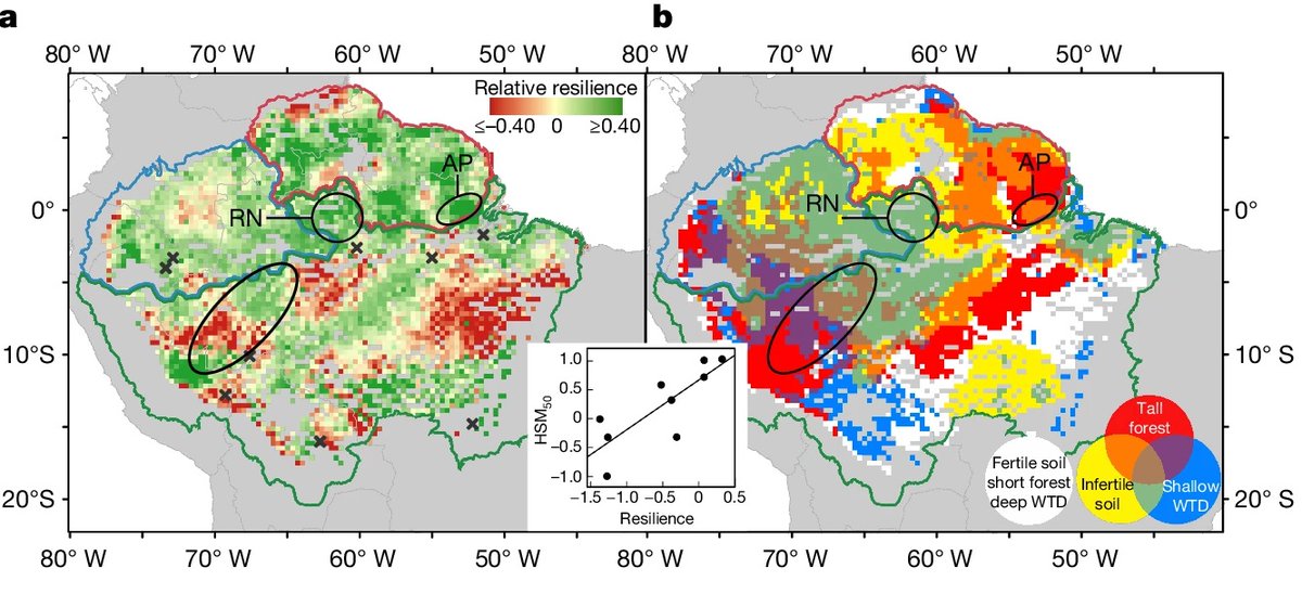 New paper led by <a href="/Shuli_Chen7/">Shuli Chen</a> out in Nature today! We test hypotheses to explain contrasting forest drought responses across the Amazon, finding that water-table depth, soil fertility &amp;functional traits(inc tree height) underpin resilience vs vulnerability nature.com/articles/s4158…