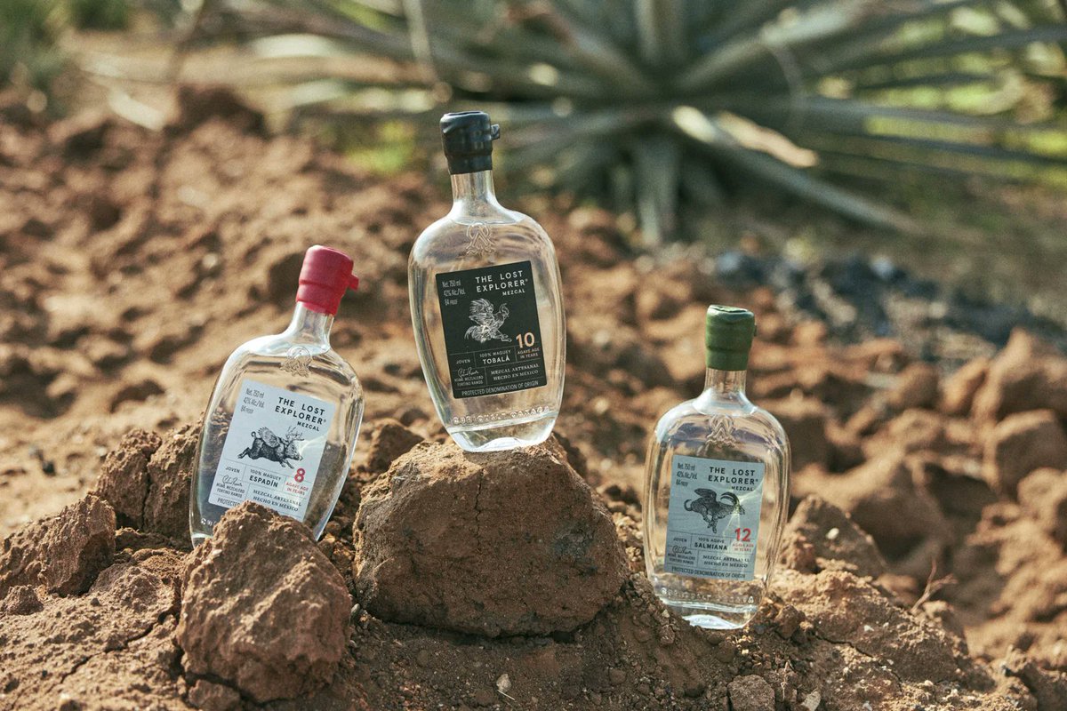 ItmagazineMex's tweet photo. Los agaves definen la personalidad de un mezcal, claves para reconocerlos.
Don Fortino Ramos, Maestro Mezcalero de #TheLostExplorer, nos comparte las principales diferencias y características de cada uno de los agaves que usan en la elaboración de su reconocido mezcal artesanal. https://t.co/kMPpMWVNn9
