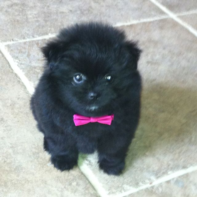 $grr (cto) tweet media