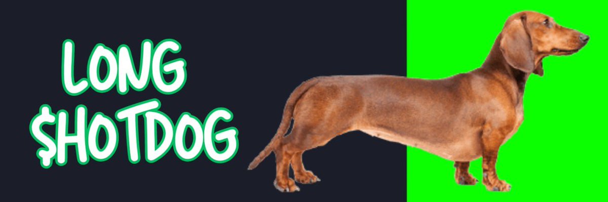 HotDogCTO's tweet photo. DEX BANNER https://t.co/xvh01b93jG