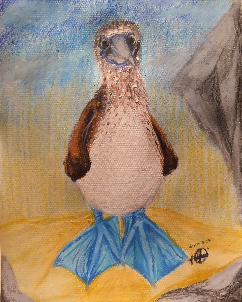 Bobo patas azules 🔮💙🌌
Óleo pastel