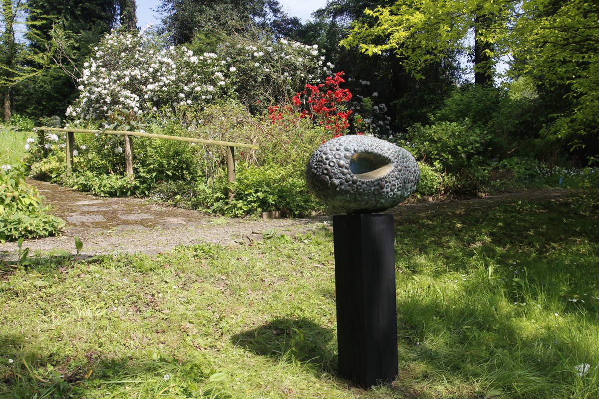 Rubin Eynon tweet media