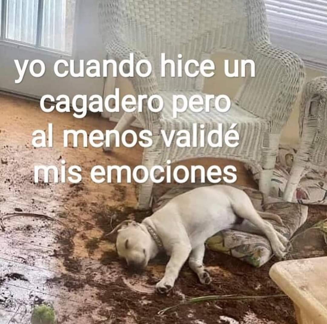 En Júpiter tweet media