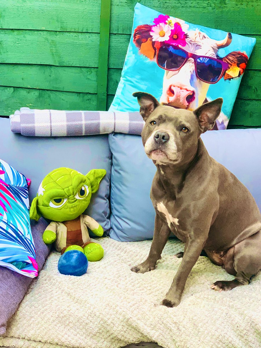 Isa Mary tweet media