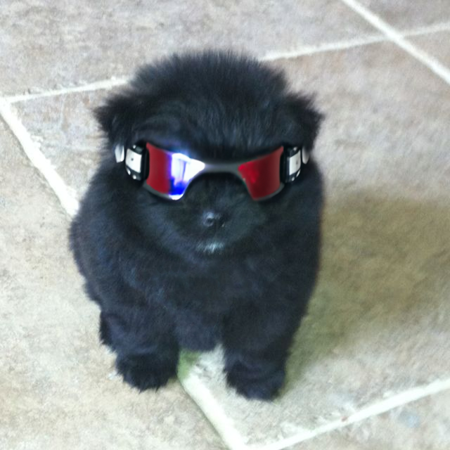 $grr (cto) tweet media