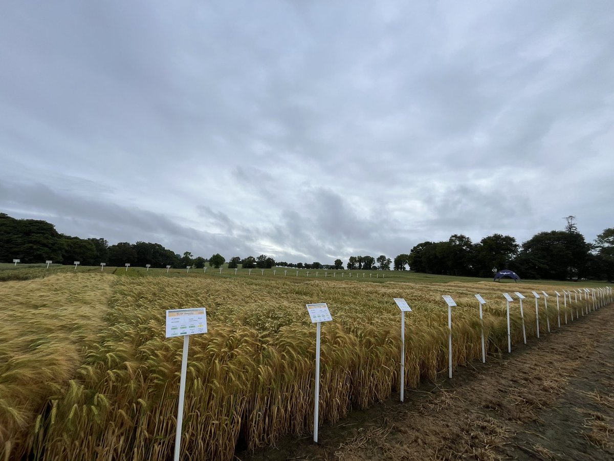 Dormion Quentin 🌱 🌽 tweet media