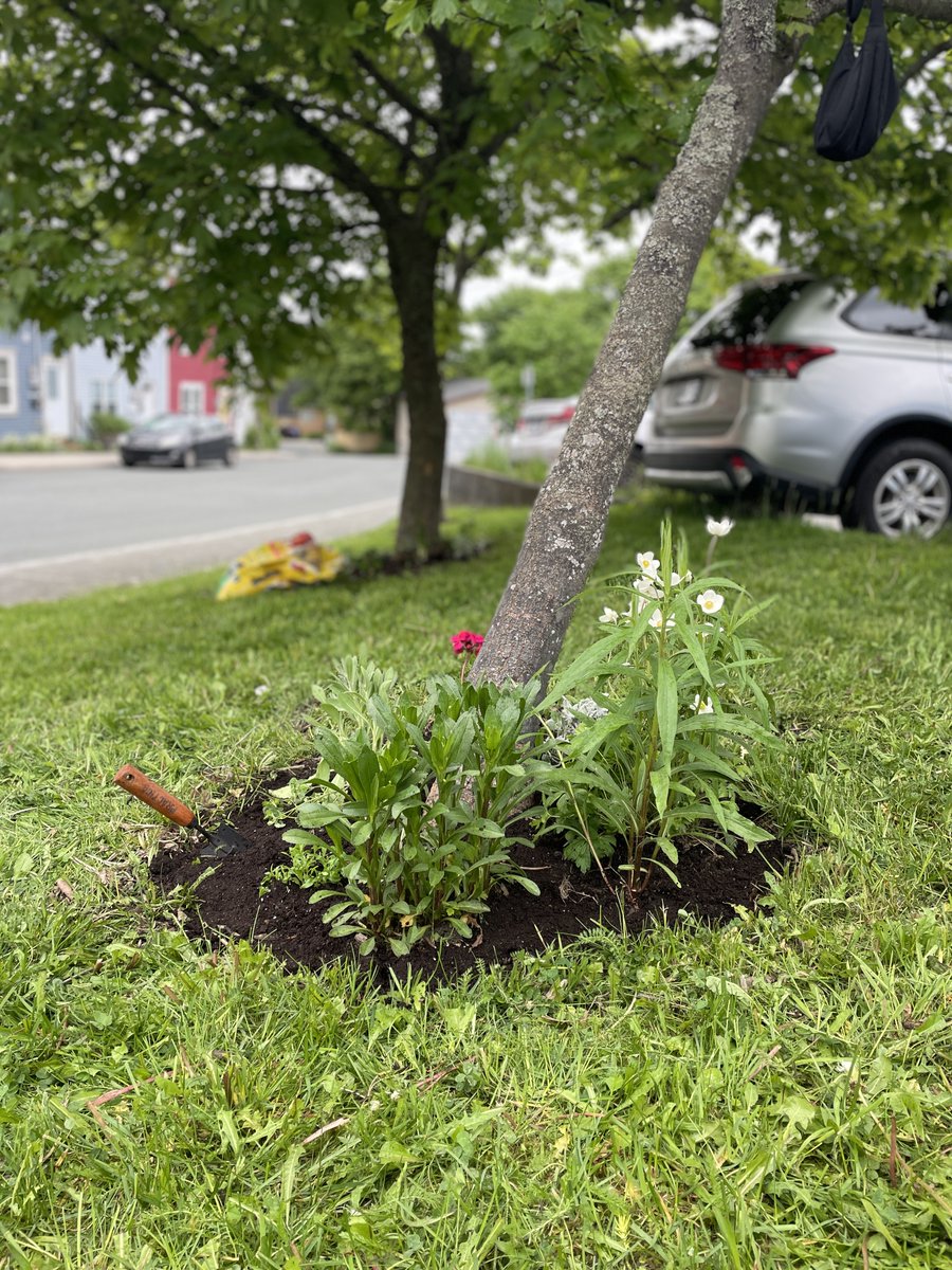 Sophie Harrington tweet media