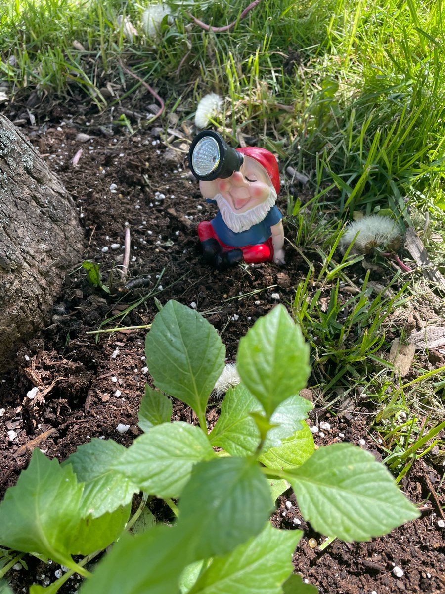 Sophie Harrington tweet media