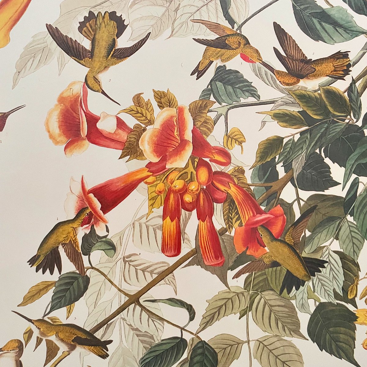HarwoodAliArt's tweet image. ‘Hummingbirds’ at #CreateArt at @LivLighthouse this afternoon involved: reading about them, listening to a song about them, drawing and painting them, and writing about them. It was great fun!