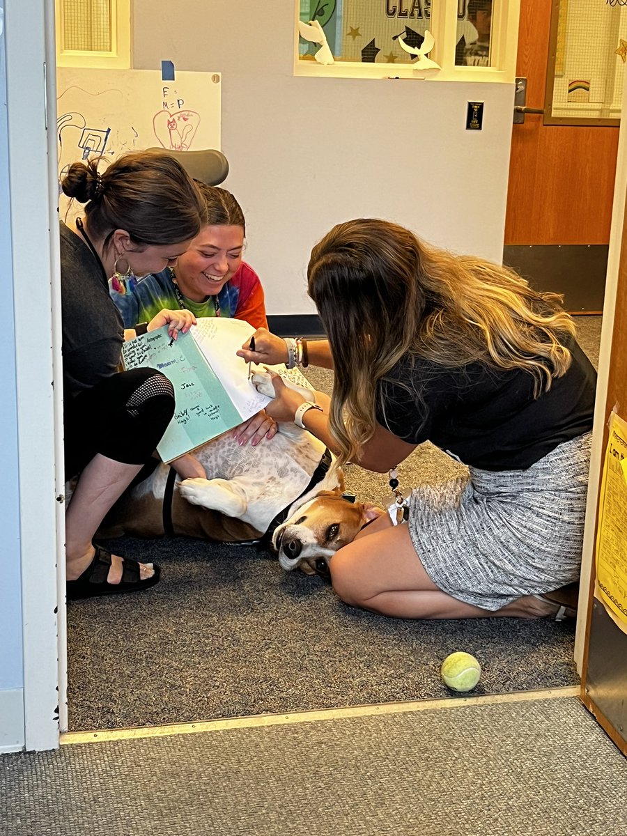 andrea mcmenamin tweet media