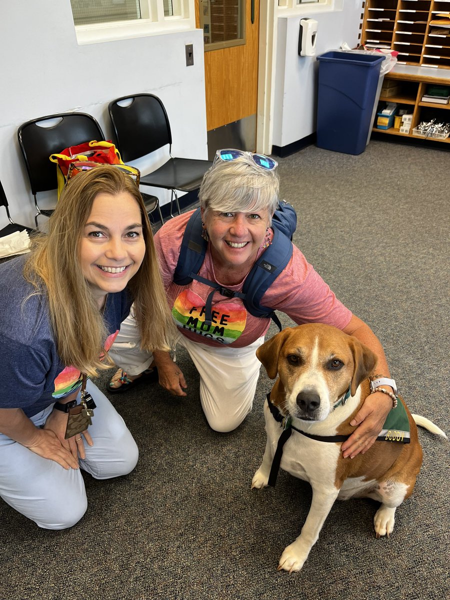 andrea mcmenamin tweet media