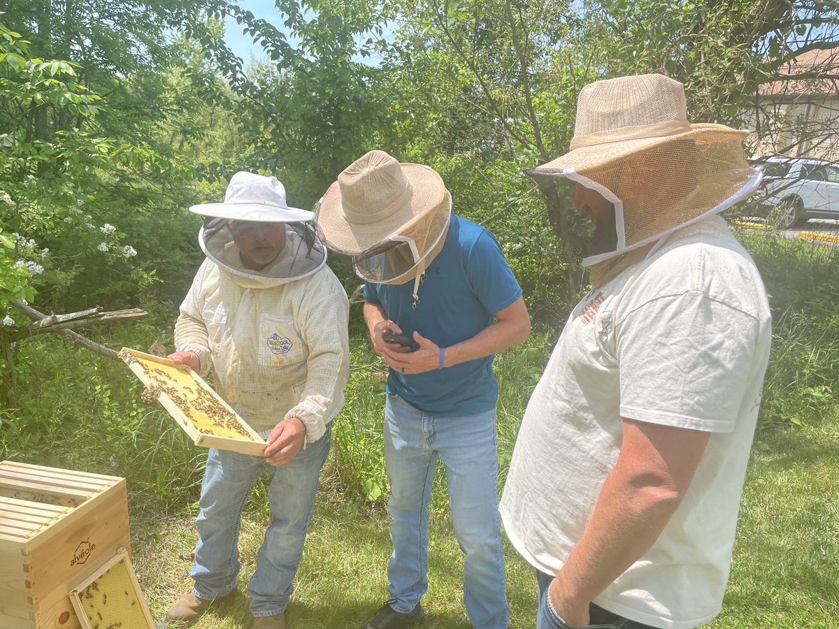 E-Train's partnership with <a href="/alveolebuzz/">Alvéole</a> sustains and grows our honey bee populations, with hives at three of the Company’s locations. Employees joined Alveole’s beekeeper to sample honey from the hives &amp; inspect them to ensure the bees are continuing their pollination work!