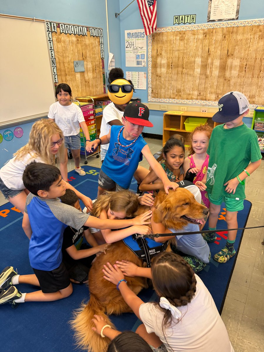 Have a good summer Tango! We will miss you!! 🐶🐾💙 <a href="/RobertHunterES/">Robert Hunter</a>