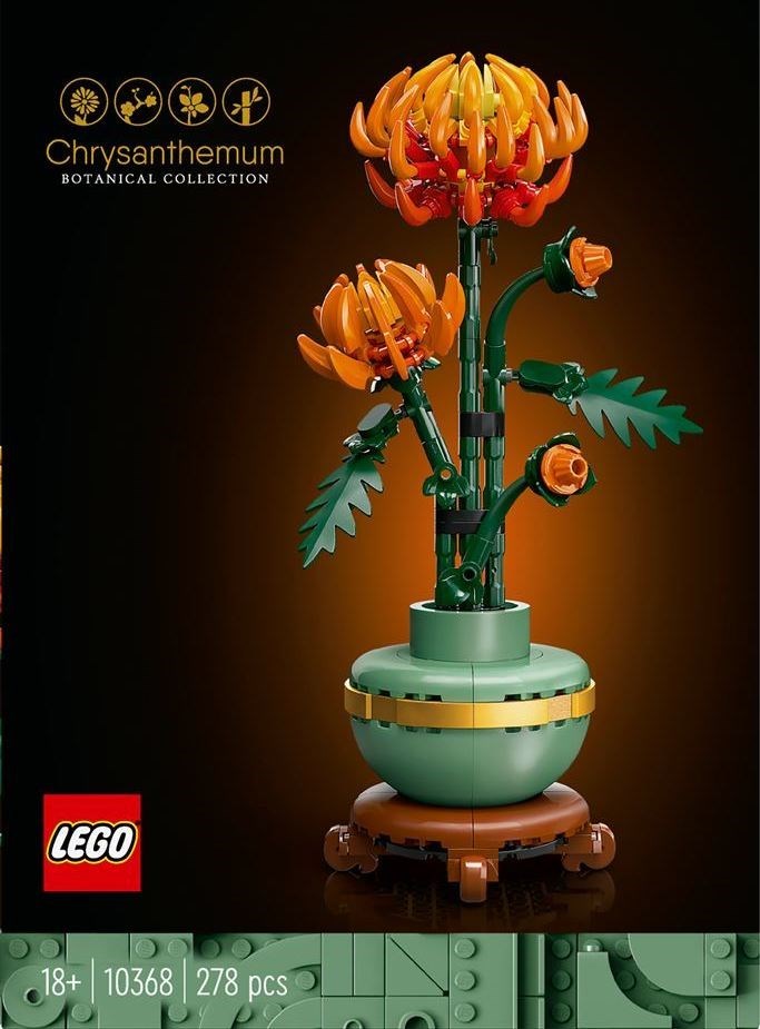 Beyond the Brick tweet media