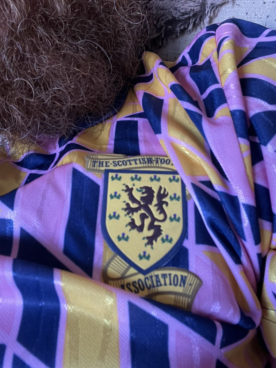 Ready to be hurt again 🏴󠁧󠁢󠁳󠁣󠁴󠁿. #noscotlandnoparty