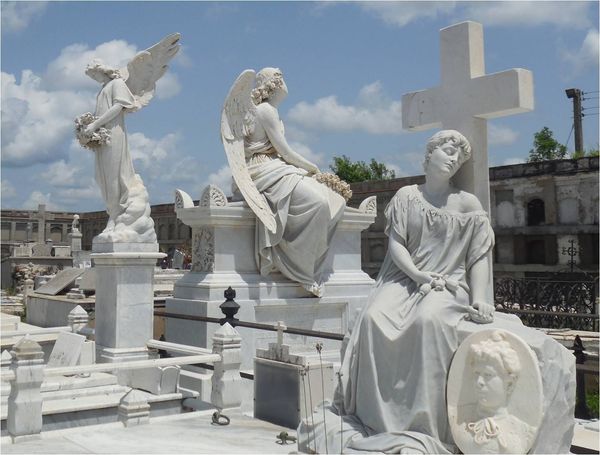Cementerio de Reina #Cienfuegos cumple 185 años y preserva valiosas obras patrimoniales #CubaEsCultura 
<a href="/SolMayelin/">Mayelín del Sol</a> <a href="/Armandocv781123/">Armando Carranza Valladares</a> <a href="/yulls_yusimi/">Yusimi Yulls Quintana</a> <a href="/FernandezMaryde/">Maryde Fernández López</a> <a href="/YolexiRdguez/">Yolexis Rodriguez</a> <a href="/YaquedeCuba/">Yaquelin</a> <a href="/agnes_becerra/">Agnes Becerra</a> <a href="/EVilluendasC/">Enrique Villuendas</a> <a href="/alfonso_noya/">Alfonso Noya Martínez🇨🇺</a> <a href="/PerlavisionTV/">Perlavisión TV</a>