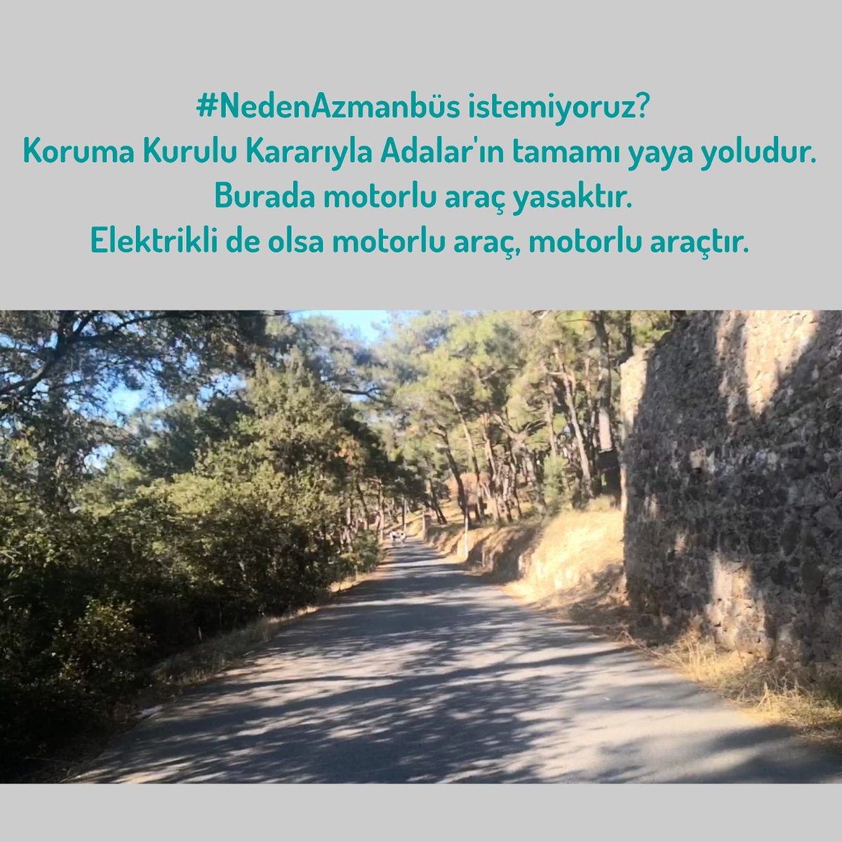DEMekoloji's tweet photo. Adalar'da #NedenAzmanbüs istemiyoruz?
Motorlu taşıtın geçtiği yol artık yaya yolu değildir. Adalar yaya bölgesidir! 
 https://t.co/AMOXgUewmE https://t.co/8OvXtVLKPr