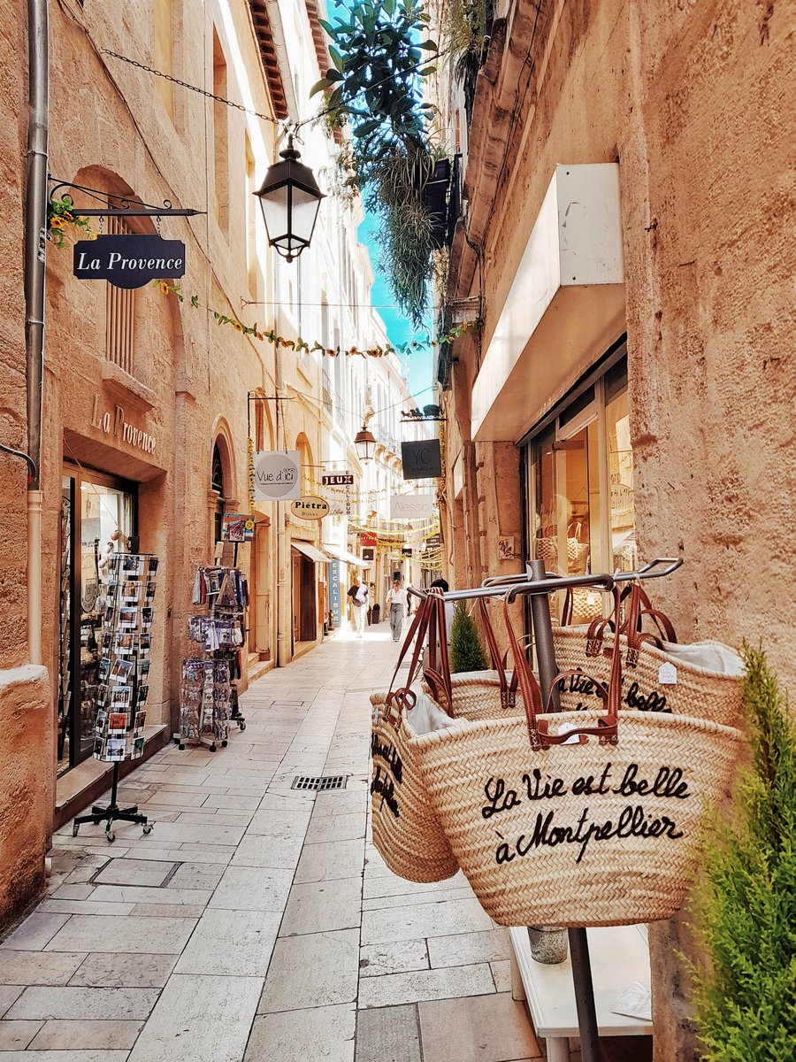 La vie est belle à Montpellier 🥰☀️📸🌿