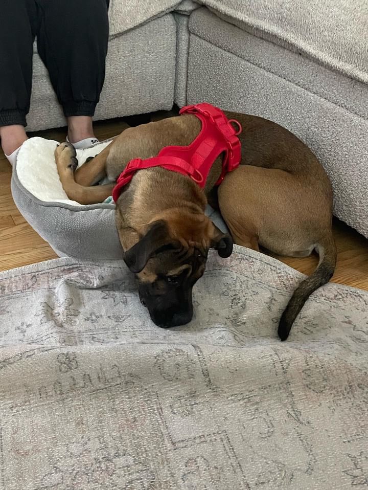 🌱 Sara Dadafshar tweet media