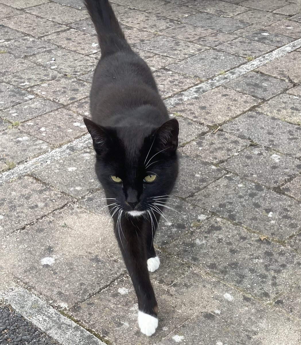 Christina tweet media