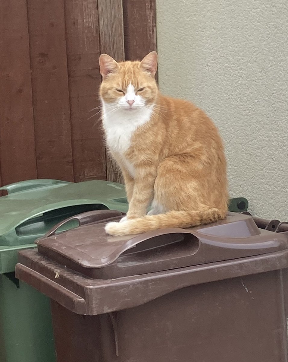 Christina tweet media