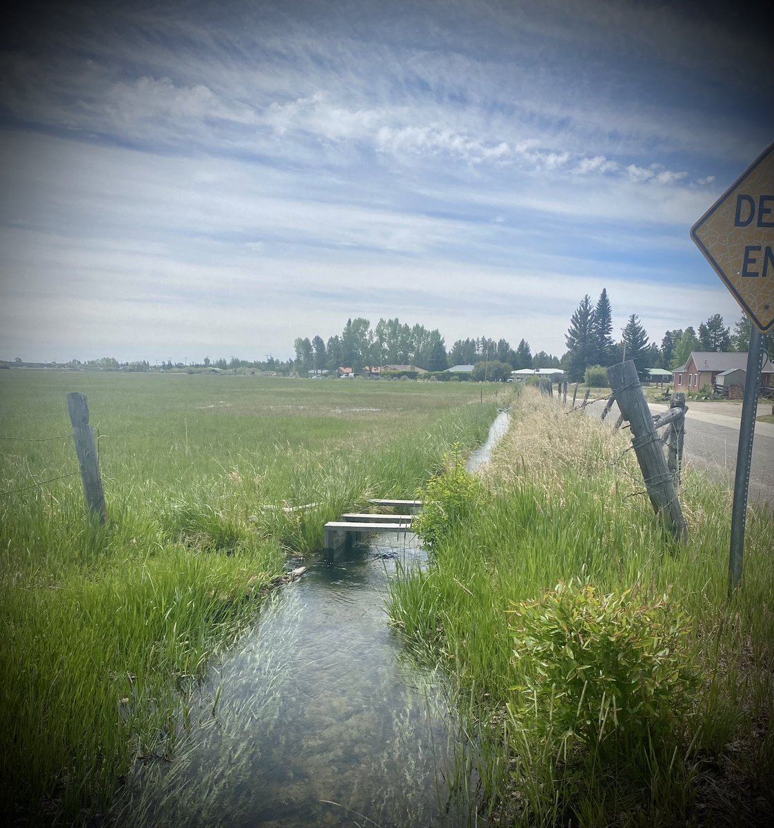 RanaePape's tweet image. My kid leased 75 acres.  He is irritating and haying it.  He asks me sometimes to go check his water, which makes me laugh. Some days I’m over there in heels and cute clothes pulling boards for more water. I’m sure people think I’m a menace- nope, just mom helping her kid #haying