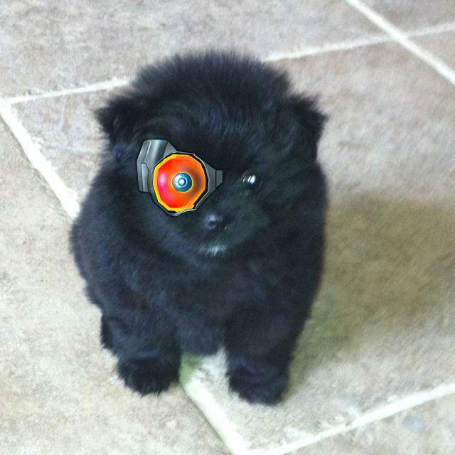 $grr (cto) tweet media