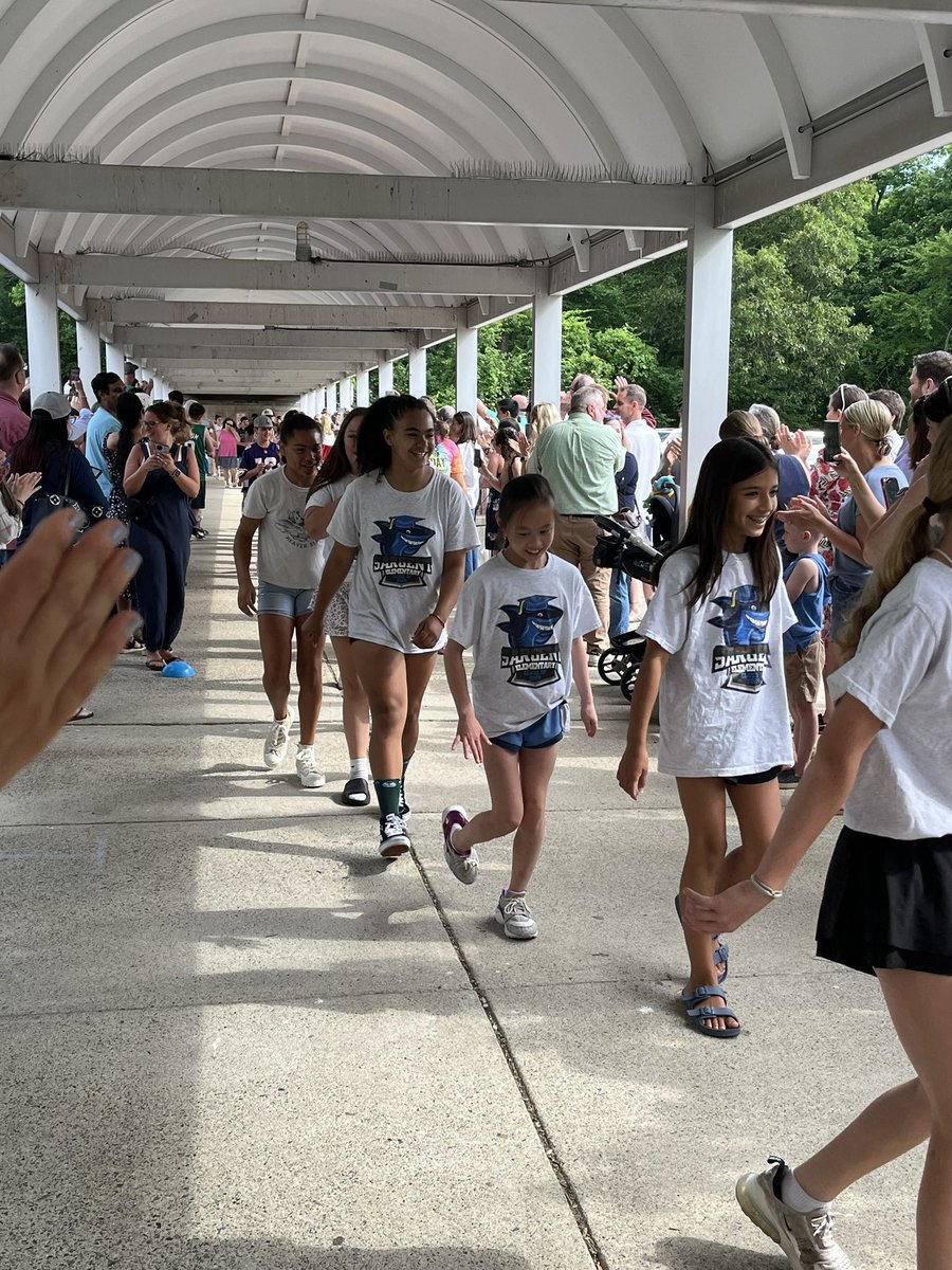 SargentSharks tweet media