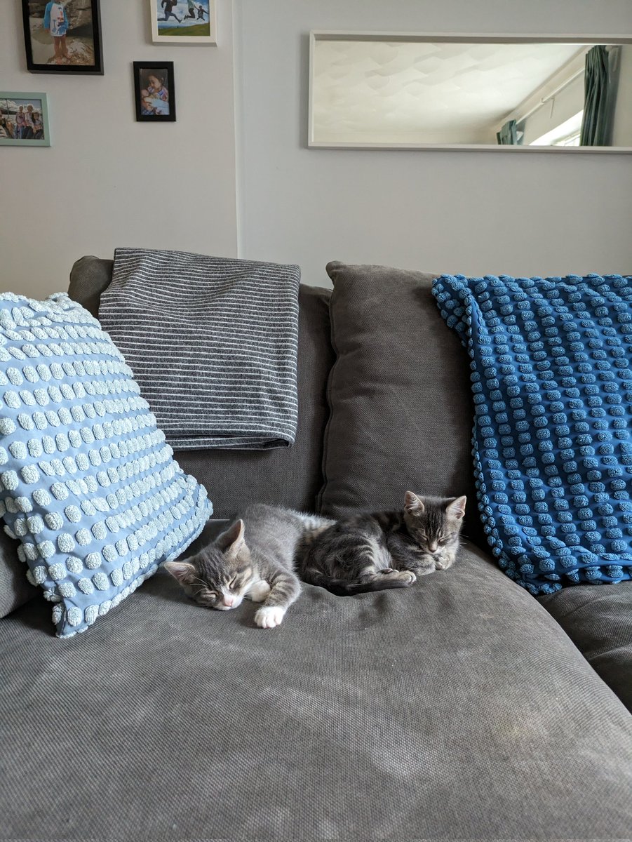 Lee Braganza tweet media