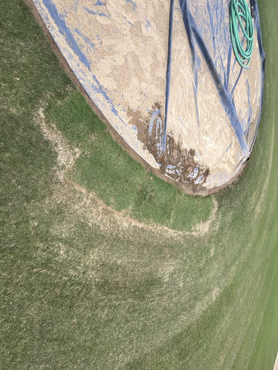 bats_grass's tweet photo. More from the last couple of days here at Slugger: 

-Topdressed with sand and Mirimichi Green soil enhancer. 
-Resodded umpire horns, and front of mound. https://t.co/TZzIkxPpXD