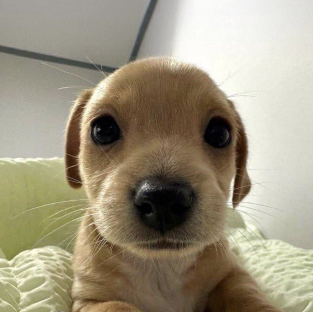 <a href="/double_down79/">EddieG</a> Something is cooking...🔹📸

Only those who sign up within the next 48 hours will be included.

billycuty.com