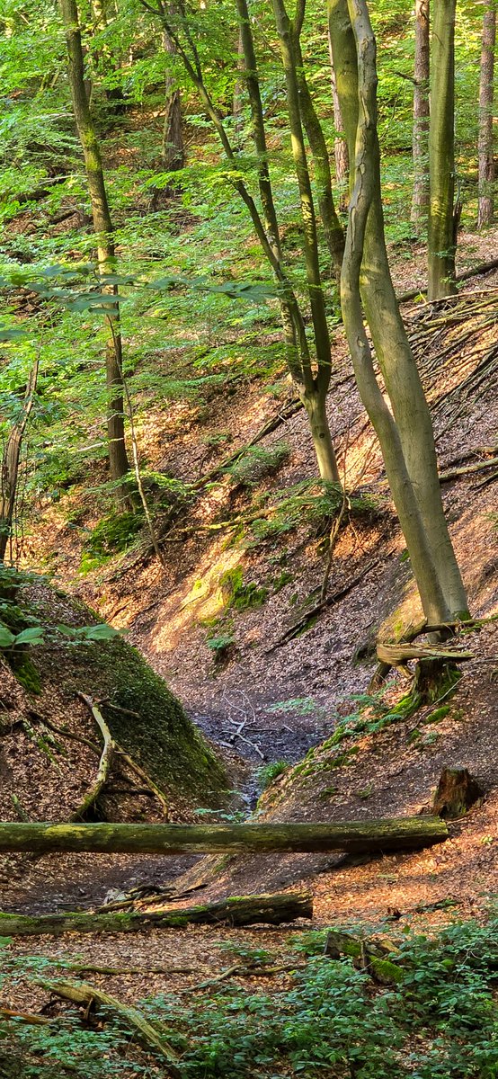 marcelbar8's tweet photo. Vandaag maakte ik een schitterende wandeling van 15 km met als start- en eindpunt #Beek-#Ubbergen (voor de kenners: wandeling N70) over de stuwwal ten oosten van #Nijmegen. Hoogtepunten zijn o.a. uitzichten op de Millingerwaard (kerkje van #Persingen: F1) en de #Duivelsberg (F4). https://t.co/ecCS6ZVmT2