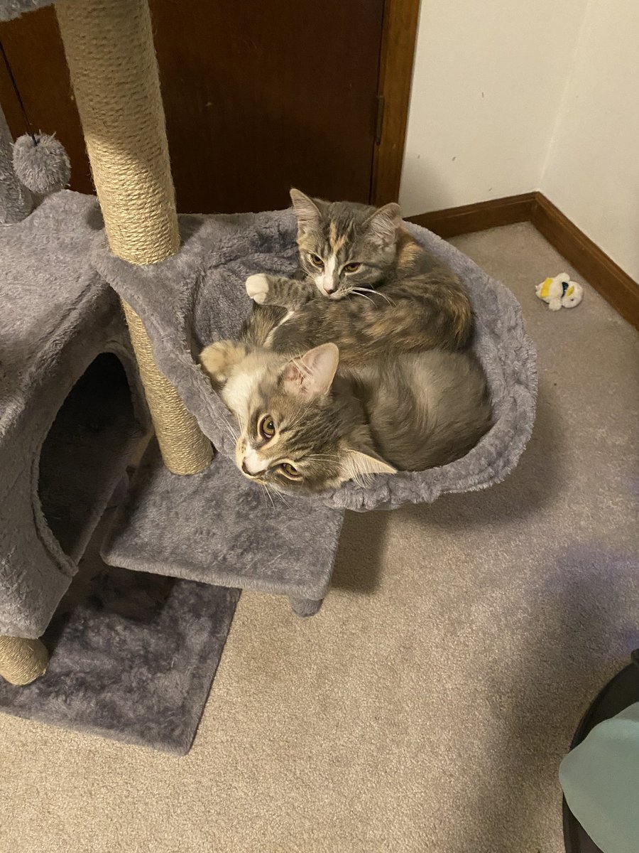 ReadyPlayer Us tweet media