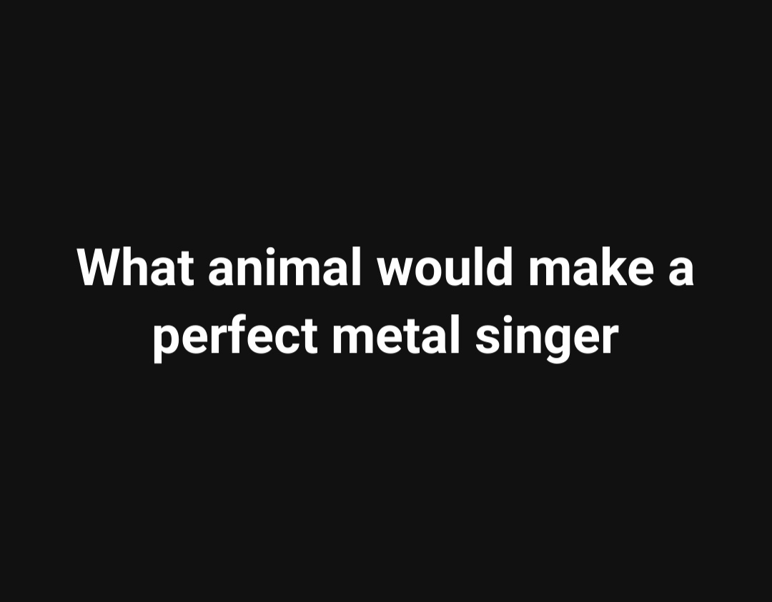 mdimranmollah's tweet photo. #M72 #MetOnTour #worldwiredtour #worldtour #livemusic #metal #metalmusic #HeavyMetalmusic #HeavyMetal #speedmetal #thrashmetal #thrash #MetalHead #metalheads #metallicafans #metalmusicfans #metalheadcommunity #metalhead #metalheads https://t.co/JGHBa4CUq1