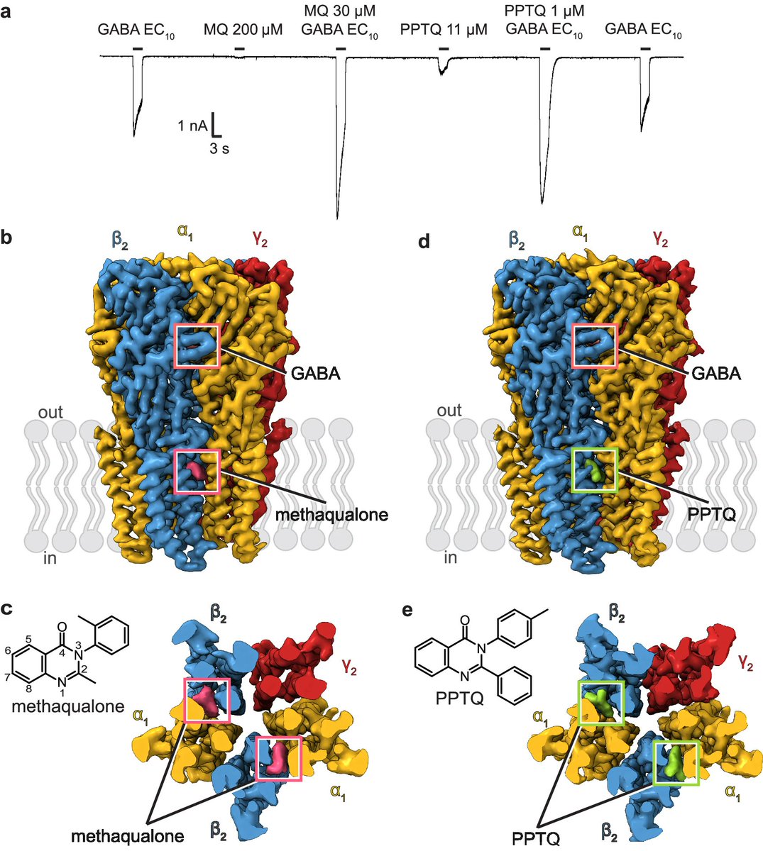 Membrane Protein PDB tweet media