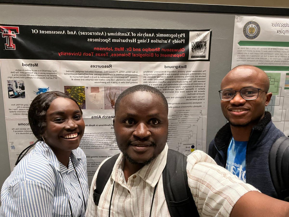 Oluwaseun Florence tweet media