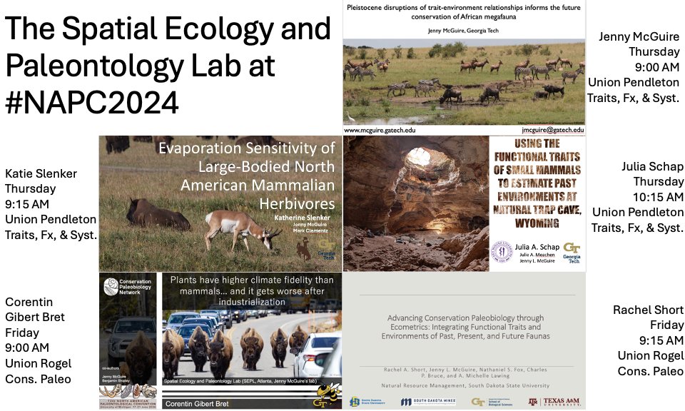 Check out the Spatial Ecology &amp; Paleontology Lab's lineup at NAPC starting tomorrow morning!  #NAPC2024

<a href="/Napc2024/">North American Paleontological Convention 2024</a>