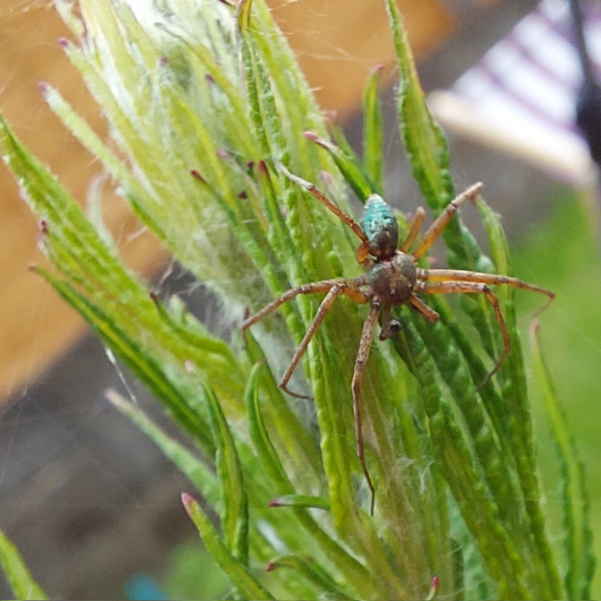 Kate Garrett tweet media