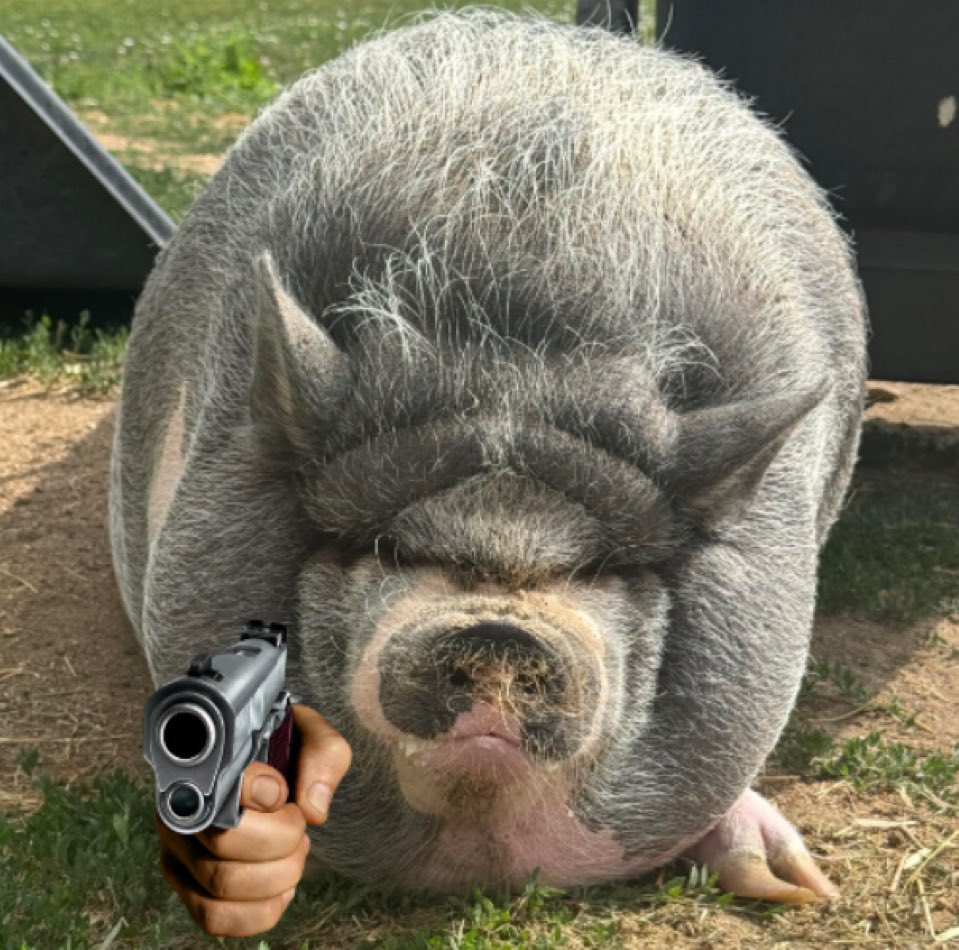 Hey <a href="/dexscreener/">DEX Screener</a> can you list $Nike  the first cardano memecoin to ever be on dexscreener 

Contract: c881c20e49dbaca3ff6cef365969354150983230c39520b917f5cf7c4e696b65