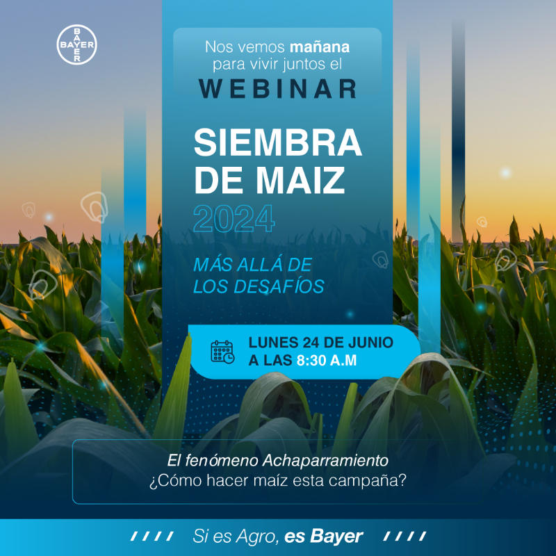 Agro Bayer tweet media