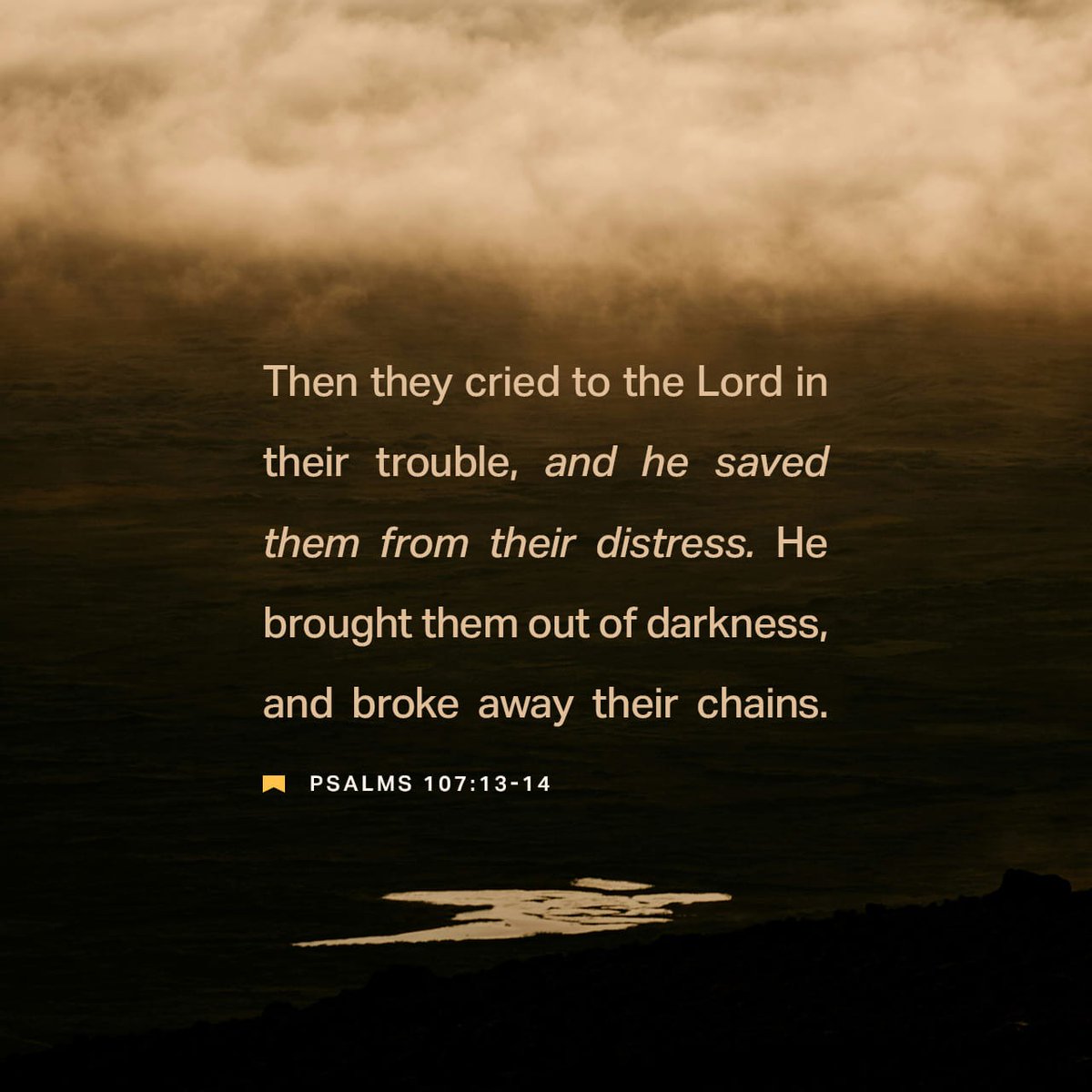 Gina Clair Burrage (@gcburrage) on Twitter photo 