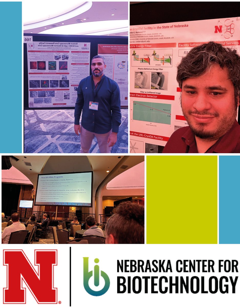 UNL Biotech Center (@biotechunl) on Twitter photo 👏<a href="/AltartouriB/">Altartouri | براء</a> (Microscopy) & <a href="/eduardocpu/">Dr. Eduardo Romero</a> (<a href="/Cryo_UNLbiotech/">UNL CryoEM Core Facility</a>) are proudly representing their Cores this week at the National IDeA Symposium of Biomedical Research Excellence (NISBRE)!
#NISBRE2024 #Microscopy #CryoEM #BiomedicalResearch 👏<a href="/AltartouriB/">Altartouri | براء</a> (Microscopy) & <a href="/eduardocpu/">Dr. Eduardo Romero</a> (<a href="/Cryo_UNLbiotech/">UNL CryoEM Core Facility</a>) are proudly representing their Cores this week at the National IDeA Symposium of Biomedical Research Excellence (NISBRE)!
#NISBRE2024 #Microscopy #CryoEM #BiomedicalResearch