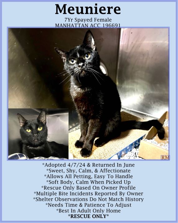 Renee' Martin tweet media