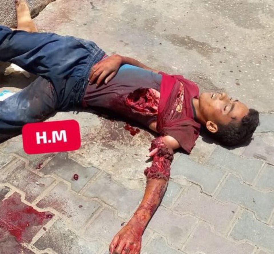 free palestine tweet media