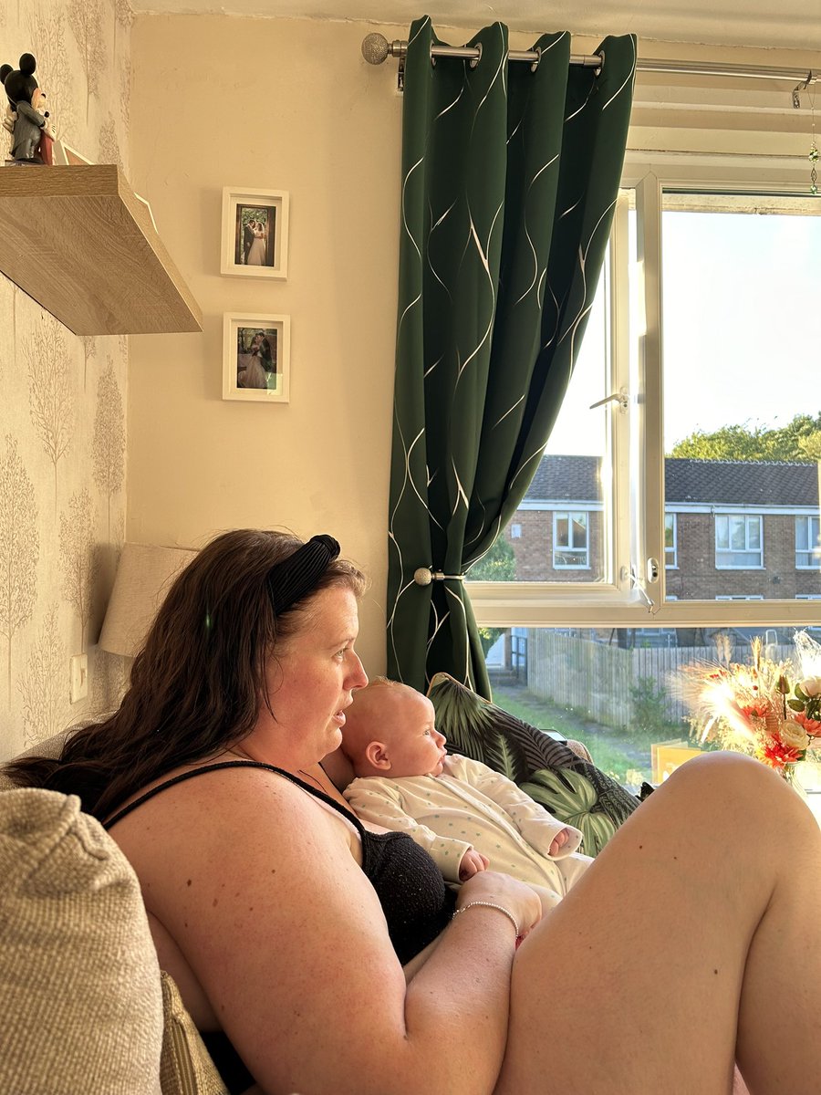 garywigg072's tweet photo. World has gone mad. These two watching the match and I’m on the job hunt #Euro24 #UnemploymentProblems #FutureScout #NeedAJob https://t.co/VYbp2BPTNg