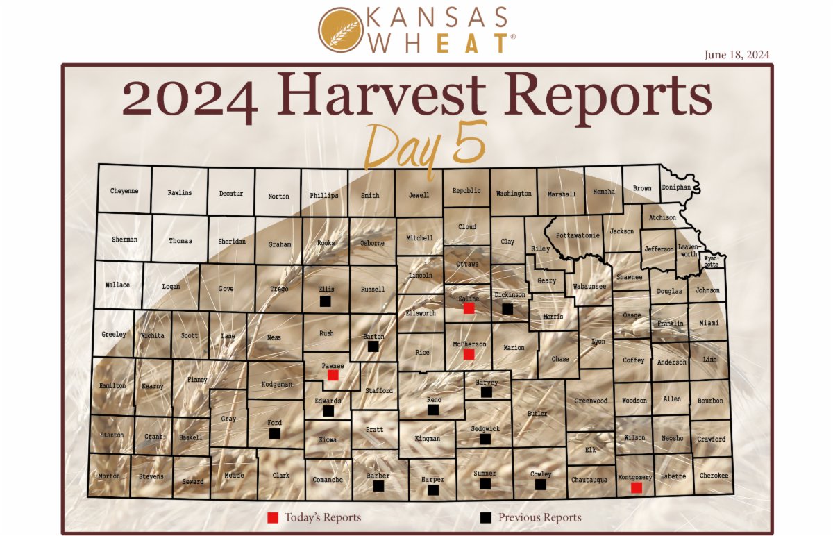 RuralRadioNet's tweet photo. Day 5, Kansas Wheat Harvest Report https://t.co/ACtvxv7s1O https://t.co/hiiLuMmUUi