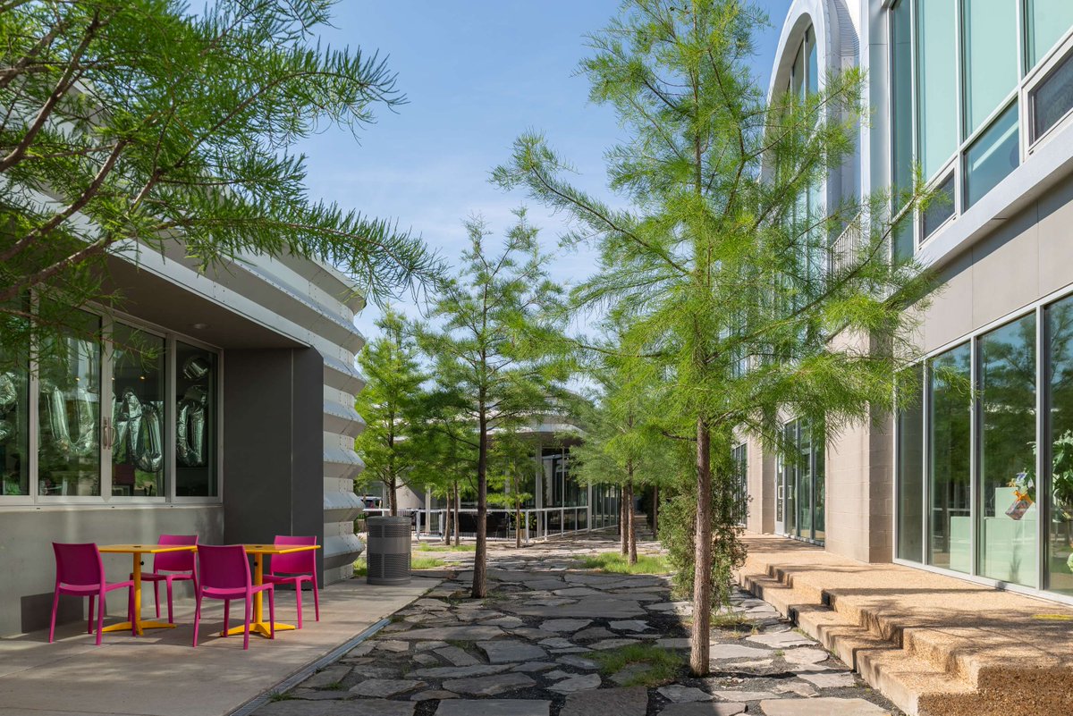 Studio Outside tweet media