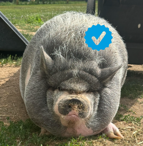 $Nike is now verified