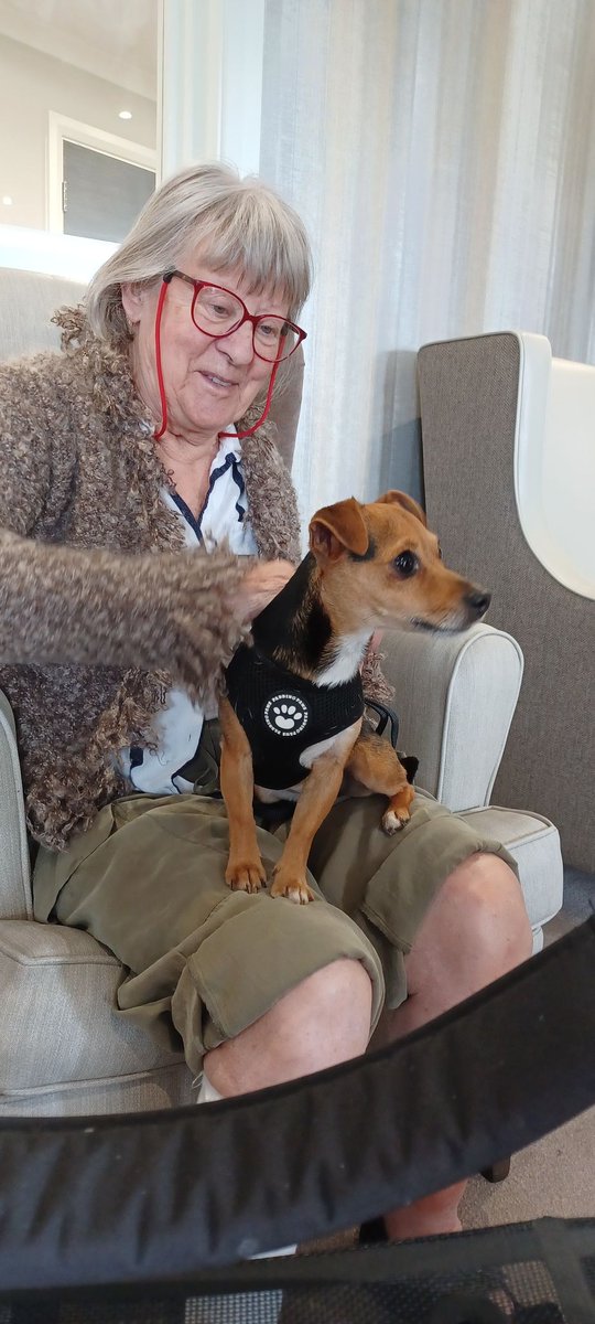 MarshFarmManor's tweet photo. Visit from our PAT dog https://t.co/iR5Dwpeb1p