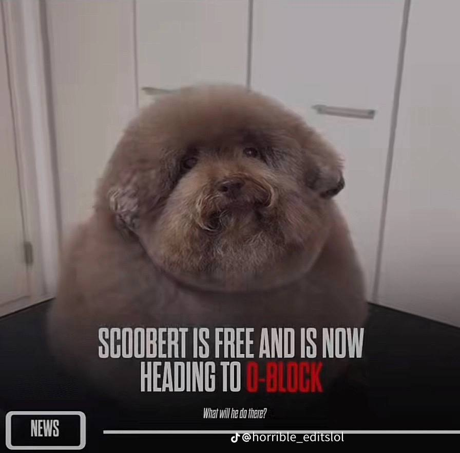 scoobsol's tweet photo. SCOOBERT is free and coming to https://t.co/FsuODxC0PY soon https://t.co/HQNL7yrLiG